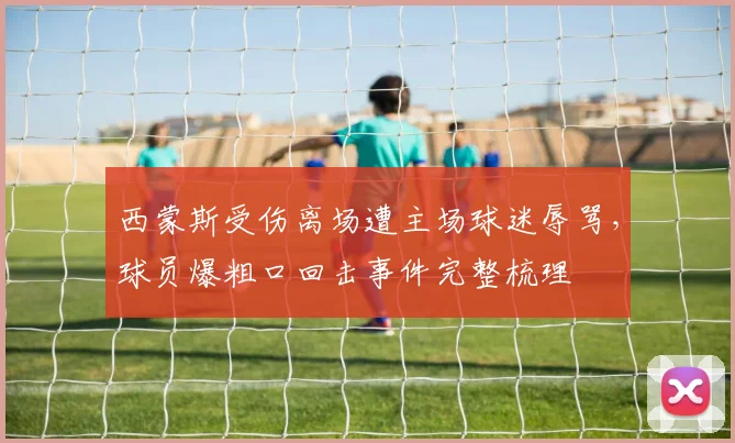 西蒙斯受伤离场遭主场球迷辱骂,球员爆粗口回击事件完整梳理