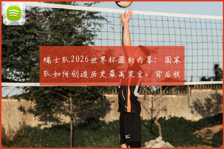 瑞士队2026世界杯盈利内幕:国家队如何创造历史最高奖金,背后收入来源全解析